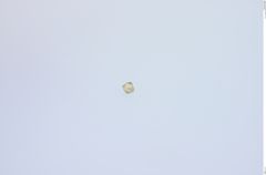 Foto von Diamant (NHMW-MIN-Aa2969)